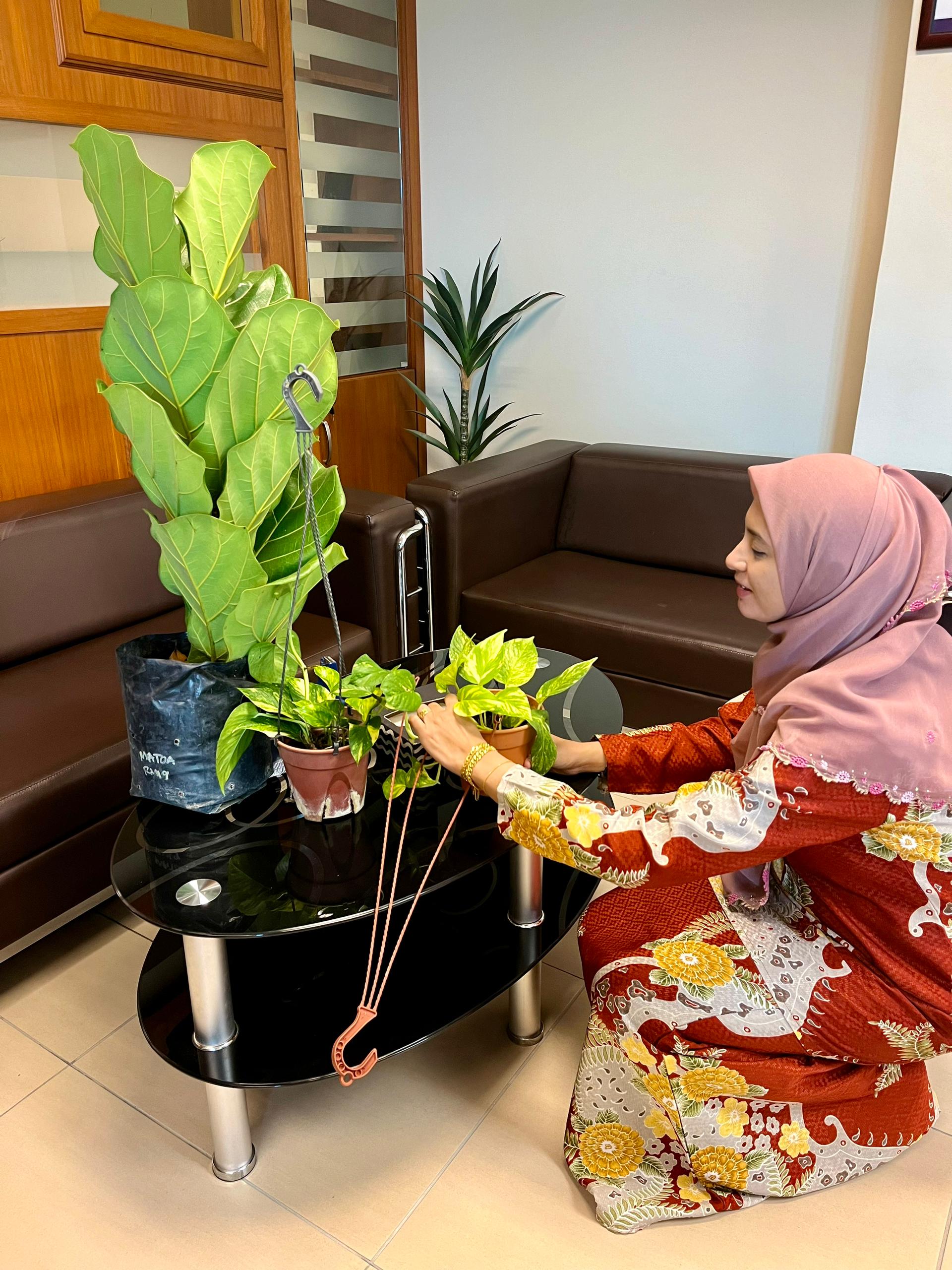 01 PENANAMAN POKOK INDOOR